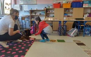 dogoterapia (4)
