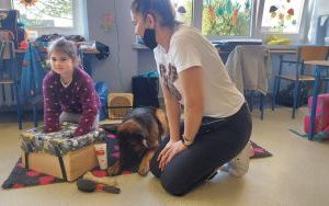 dogoterapia (2)