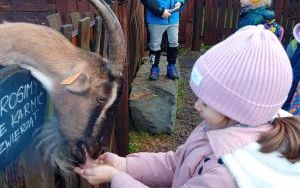 Wycieczka do Chlebowej Chaty i Koziej Zagrody w Brennej  (6)