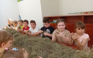 Wycieczka do Żarek.  (6)