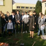 Powiększ zdjęcie